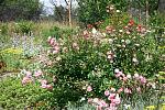     
: IMG_7501.jpg
: 3
:	257.0 
ID:	6360570