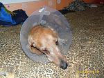     
: P1020090-1.jpg
: 31
:	268.3 
ID:	6361722