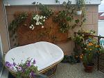     
: Балкон DSC01063.jpg
: 67
:	167.0 
ID:	6362255