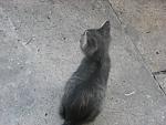     
: IMG_0001.jpg
: 15
:	141.6 
ID:	6364305