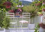     
: flowering-balcony-09.jpg
: 15
:	64.0 
ID:	6365343