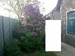     
: 08052010402.jpg
: 34
:	177.2 
ID:	6366269