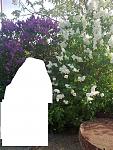     
: 08052010403.jpg
: 33
:	146.5 
ID:	6366271