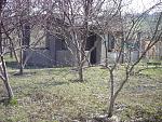     
: ST832134.jpg
: 37
:	195.0 
ID:	6366277