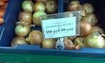     
: 444226_1000.jpg
: 11
:	104.2 
ID:	6367538