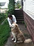     
: IMG_0206.JPG
: 34
:	286.5 
ID:	6367582