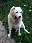     
: IMG_0199.JPG
: 38
:	299.5 
ID:	6367587
