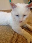     
: IMG_1387.jpg
: 5
:	70.3 
ID:	6368803
