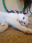     
: IMG_1390.jpg
: 4
:	78.2 
ID:	6368809