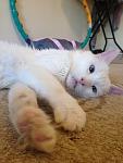     
: IMG_1389.jpg
: 5
:	71.9 
ID:	6368825