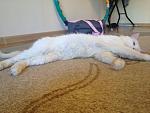     
: IMG_1393.jpg
: 4
:	118.1 
ID:	6368829