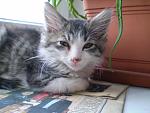     
: P5221077.JPG
: 13
:	168.8 
ID:	6370458