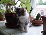     
: P5231080.JPG
: 10
:	165.8 
ID:	6370459