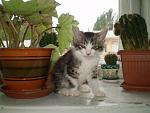     
: P5231079.JPG
: 7
:	169.7 
ID:	6370460