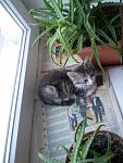     
: P5221078.JPG
: 9
:	165.2 
ID:	6370461