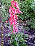     
: IMG00241.jpg
: 8
:	154.4 
ID:	6375423