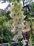     
: IMG00226.jpg
: 3
:	145.2 
ID:	6375446
