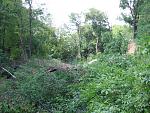     
: DSCF8106.jpg
: 6
:	295.6 
ID:	6379314
