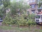     
: 14062013013.jpg
: 9
:	257.7 
ID:	6379465
