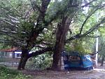     
: 14062013022.jpg
: 13
:	165.2 
ID:	6379468