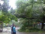     
: 14062013018.jpg
: 9
:	218.3 
ID:	6379469
