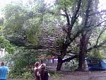     
: 14062013017.jpg
: 14
:	231.6 
ID:	6379471