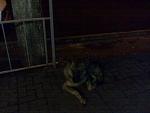     
: 14062013499.jpg
: 34
:	96.5 
ID:	6380464