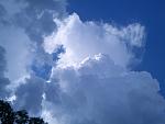     
: 2013-06-15 15.52.11.jpg
: 38
:	73.5 
ID:	6382732