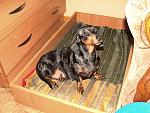     
: DSC09462.jpg
: 13
:	190.0 
ID:	6383427