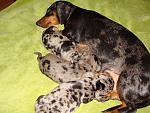     
: DSC09472.jpg
: 10
:	248.9 
ID:	6383428