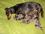     
: DSC09473.jpg
: 12
:	209.5 
ID:	6383429