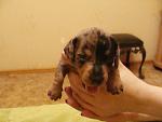     
: DSC09479.jpg
: 9
:	96.4 
ID:	6383431