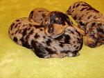     
: DSC09496.jpg
: 11
:	142.8 
ID:	6383442