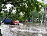     
: 20130616_175617-1.jpg
: 78
:	280.9 
ID:	6386882