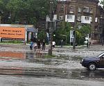     
: 20130616_173558-1.jpg
: 80
:	219.7 
ID:	6386885