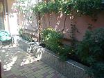     
: Двор DSC01076.jpg
: 52
:	191.9 
ID:	6388757