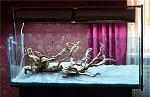     
: ef244673c3d5.jpg
: 229
:	60.6 
ID:	6395489