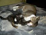     
: DSCN7712.jpg
: 5
:	167.3 
ID:	6397247