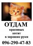     
: Объявление ОТД&#10.jpg
: 26
:	64.0 
ID:	6398650