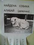     
: Z0uGh9RoCmw.jpg
: 10
:	42.0 
ID:	6403517