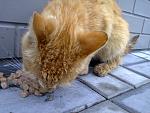     
: Фото0474.jpg
: 7
:	149.5 
ID:	6405510