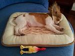     
: 20130621_140339.jpg
: 17
:	118.1 
ID:	6407716