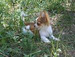     
: IMG_7274.jpg
: 18
:	223.9 
ID:	6407735
