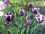     
: P1020158.JPG
: 101
:	292.8 
ID:	6410774