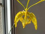     
: DSC04815sm.jpg
: 7
:	47.8 
ID:	6412920