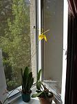     
: DSC04817sm.jpg
: 8
:	102.4 
ID:	6412923
