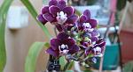     
: DSC04798sm.jpg
: 11
:	50.8 
ID:	6412928