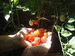     
: DSC02722.jpg
: 11
:	114.8 
ID:	6414901