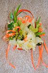     
: DSC_0416.jpg
: 11
:	115.0 
ID:	6415022