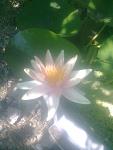     
: Фото0615.jpg
: 11
:	79.3 
ID:	6417273